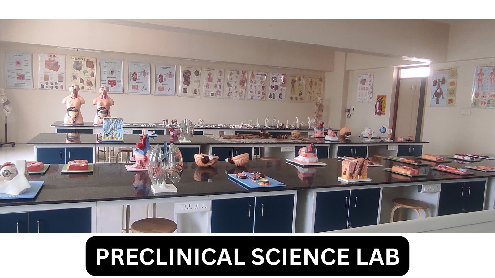 Preclinical science lab